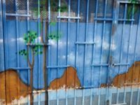   - 21 m²  - Les Abymes en Guadeloupe