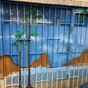   - 21 m²  - Les Abymes en Guadeloupe