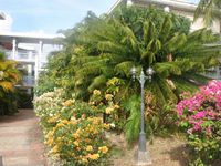 Appartement  1 Pièce - 42 m²  - Saint François en Guadeloupe
