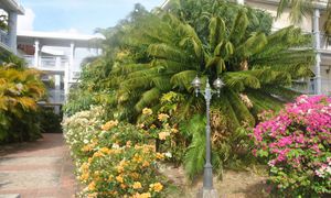 &copy; guadeloupe.fr