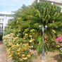 Appartement  1 Pièce - 42 m²  - Saint François en Guadeloupe