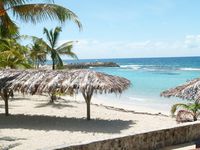 Appartement  2 Pièces - 33,3 m²  - Saint François en Guadeloupe