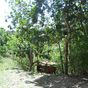 Appartement  2 Pièces - 50 m²  - Le Gosier en Guadeloupe