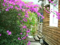 Appartement  3 Pièces - 39 m²  - Bouillante en Guadeloupe