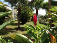 Appartement  3 Pièces - 51,48 m²  - Petit Bourg en Guadeloupe