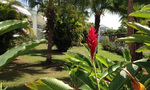 &copy; guadeloupe.fr