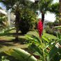 Appartement  3 Pièces - 51,48 m²  - Petit Bourg en Guadeloupe