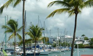 &copy; guadeloupe.fr