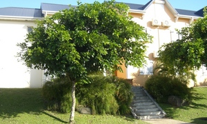 © guadeloupe.fr