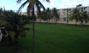 &copy; guadeloupe.fr