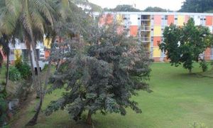 © guadeloupe.fr