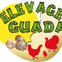 ELEVAGE GUADA en Guadeloupe