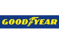 GOODYEAR EFFICIENTGRIP SUV 235/60 R 16 100 H en Guadeloupe