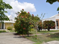 Maison / Villa  10 Pièces - 284 m²  - Saint Franço en Guadeloupe