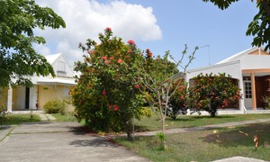&copy; guadeloupe.fr