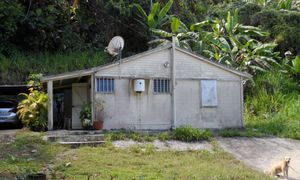 &copy; guadeloupe.fr