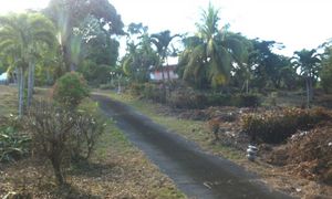 &copy; guadeloupe.fr