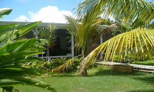 &copy; guadeloupe.fr