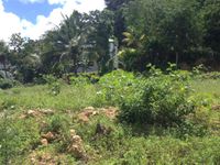 Terrain  - 1000 m²  - Le Gosier en Guadeloupe