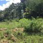 Terrain  - 1000 m²  - Le Gosier en Guadeloupe