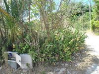 Terrain  - 1000 m²  - Le Moule en Guadeloupe