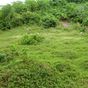 Terrain  - 1000 m²  - Morne à l'Eau en Guadeloupe