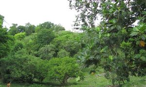 &copy; guadeloupe.fr