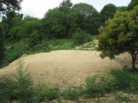 Terrain  - 1000 m²  - Sainte Anne en Guadeloupe