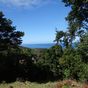 Terrain  - 1003 m²  - Deshaies en Guadeloupe