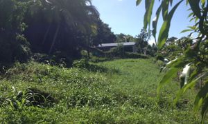 &copy; guadeloupe.fr