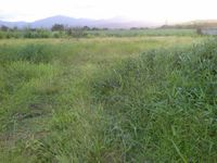Terrain  - 1020 m²  - Sainte Rose en Guadeloupe