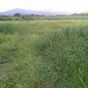 Terrain  - 1020 m²  - Sainte Rose en Guadeloupe
