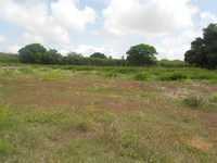 Terrain  - 1064 m²  - Anse Bertrand en Guadeloupe
