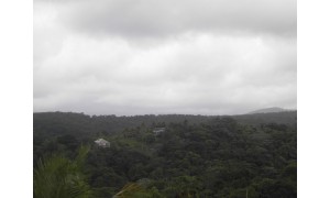 &copy; guadeloupe.fr