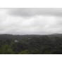 Terrain  - 1091 m²  - Sainte Rose en Guadeloupe