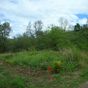 Terrain  - 1094 m²  - Bouillante en Guadeloupe