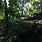 Terrain  - 1100 m²  - Les Abymes en Guadeloupe