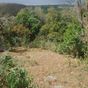 Terrain  - 1113 m²  - Deshaies en Guadeloupe