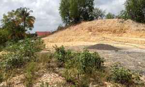 &copy; guadeloupe.fr