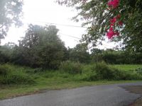 Terrain  - 1301 m²  - Sainte Rose en Guadeloupe