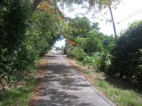 Terrain  - 1338 m²  - Vieux Habitants en Guadeloupe