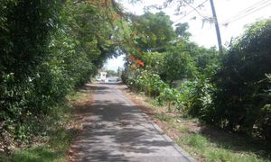 &copy; guadeloupe.fr