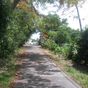 Terrain  - 1338 m²  - Vieux Habitants en Guadeloupe