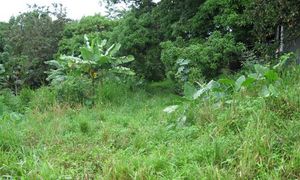 &copy; guadeloupe.fr