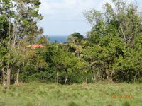 Terrain  - 1405 m²  - Sainte Rose en Guadeloupe