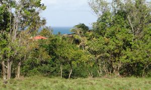 &copy; guadeloupe.fr