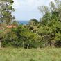 Terrain  - 1405 m²  - Sainte Rose en Guadeloupe