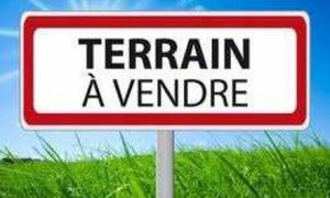 &copy; guadeloupe.fr
