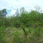 Terrain  - 1635 m²  - Bouillante en Guadeloupe