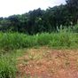 Terrain  - 1710 m²  - Petit Bourg en Guadeloupe
